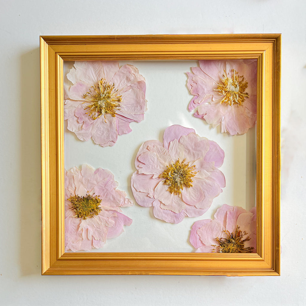 11x11 custom pressed flower frame