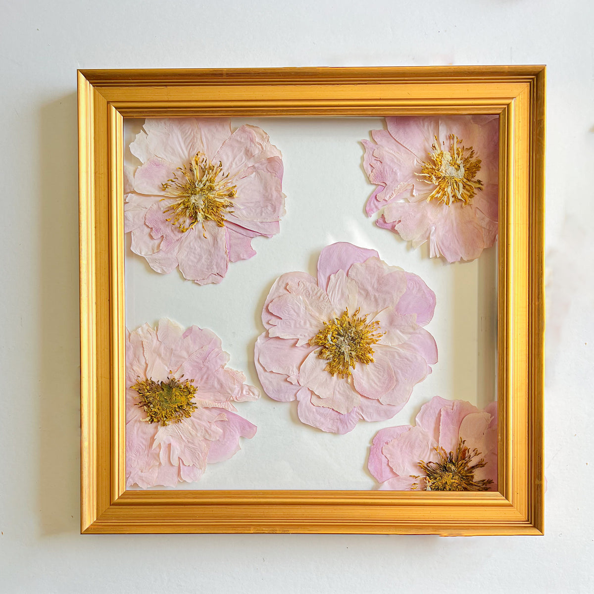 11x11 custom pressed flower frame